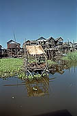 Tonle Sap - Kampong Phluk floating village - stilted houses